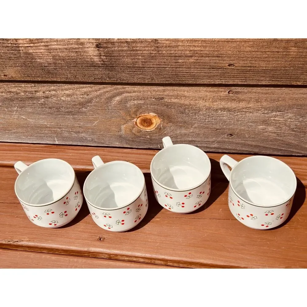 Vintage Porcelana Schmidt Brasil Cherry Pattern Dinnerware Set 16pc
